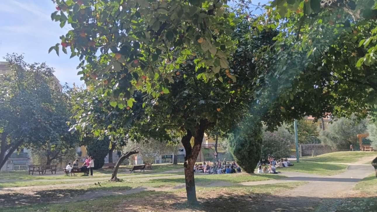 Laboratorio di Educazione Ambientale - EA